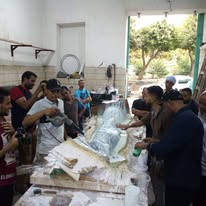 معرض الصور
